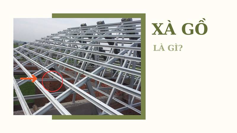 Xa go la gi? So sanh cac loai xa go pho bien hien nay